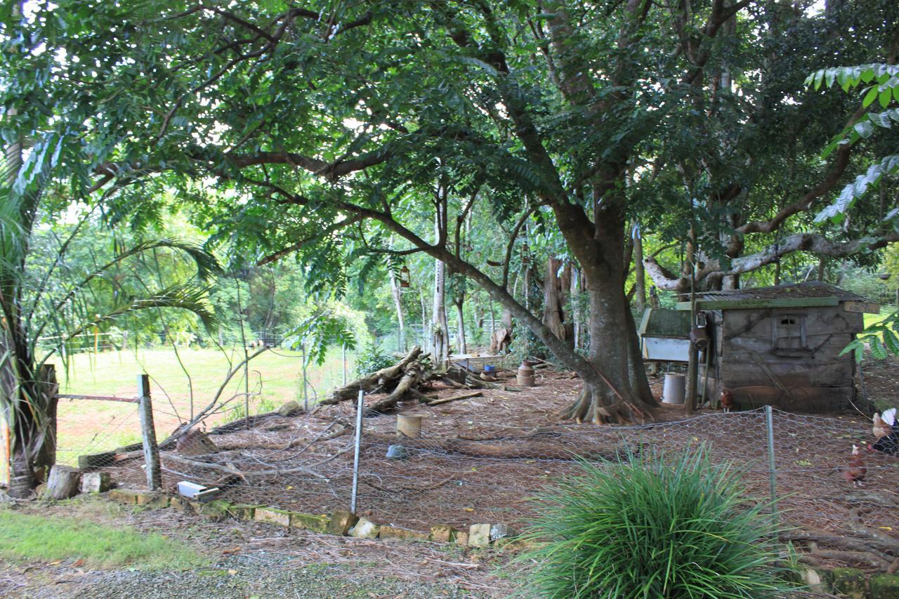 Alstonville Country Cottages Dış mekan fotoğraf